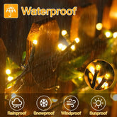 String lights on a branch with raindrops, highlighting waterproof features.